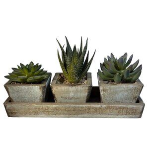 Artificial Succulent Trio In Rustic Wooden Planter Box For Home Or Office Decor